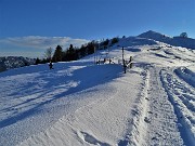 64 Alla Bocchetta di Maesimo (1560 m)  prendiamo a sx il sent. 151 che scende ad Avolasio